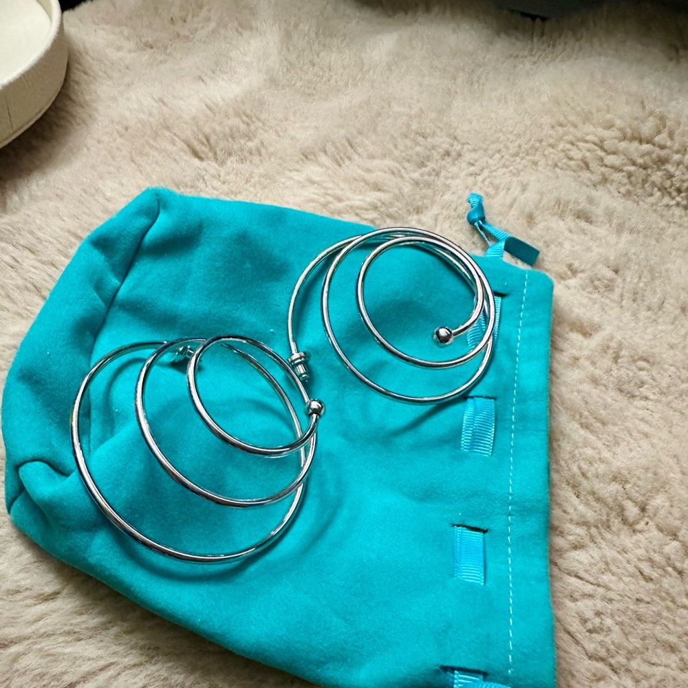 Elegant Silver Hoop Earrings